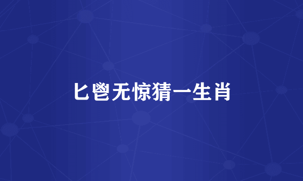 匕鬯无惊猜一生肖