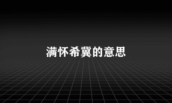 满怀希冀的意思