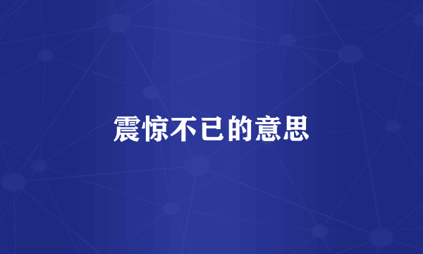 震惊不已的意思