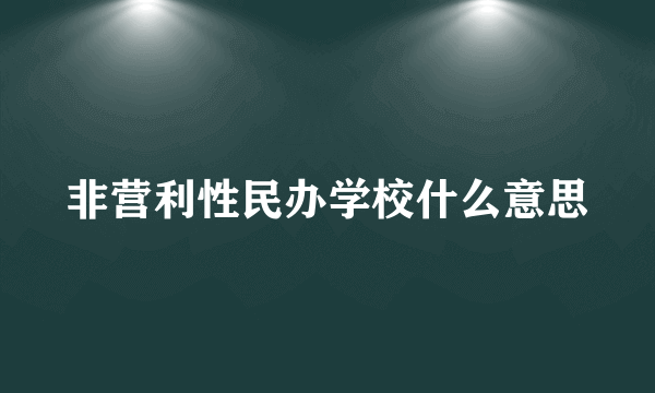 非营利性民办学校什么意思