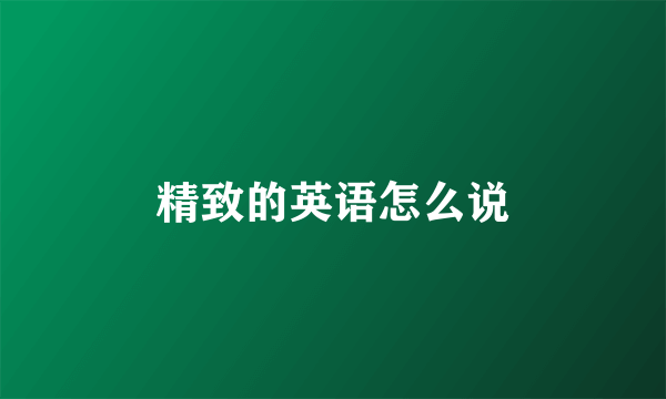 精致的英语怎么说
