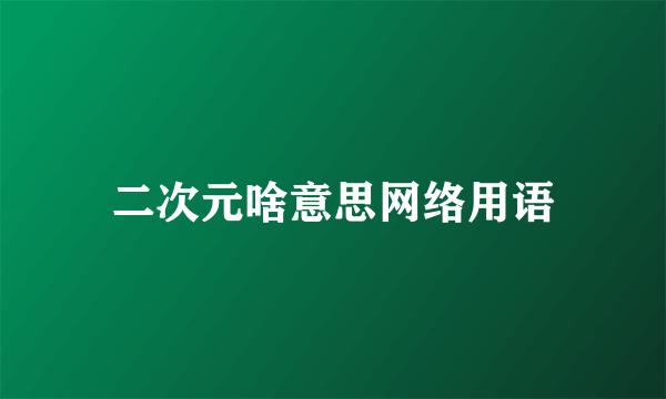 二次元啥意思网络用语