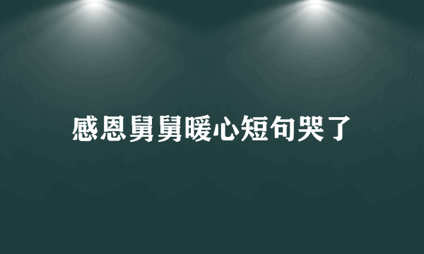 感恩舅舅暖心短句哭了