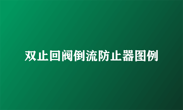 双止回阀倒流防止器图例