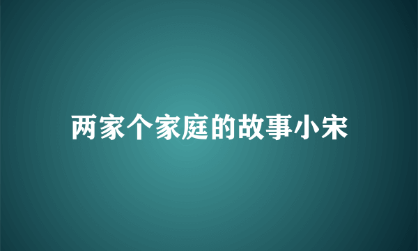 两家个家庭的故事小宋