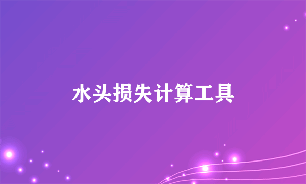 水头损失计算工具