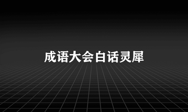 成语大会白话灵犀