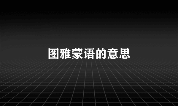 图雅蒙语的意思