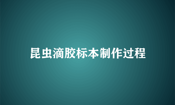 昆虫滴胶标本制作过程