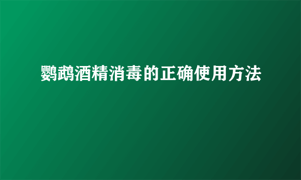 鹦鹉酒精消毒的正确使用方法