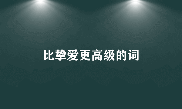 比挚爱更高级的词