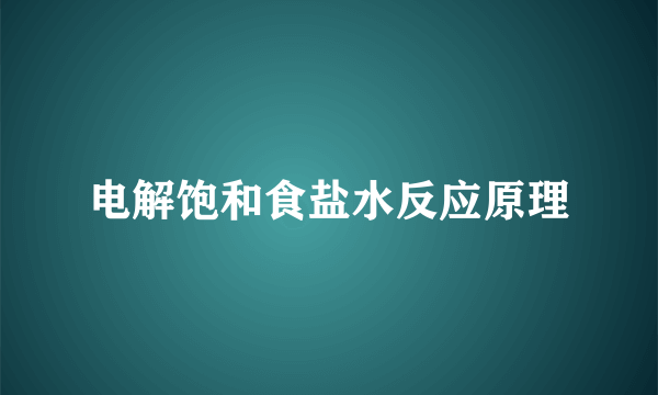 电解饱和食盐水反应原理