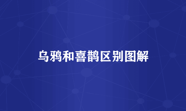 乌鸦和喜鹊区别图解