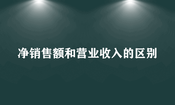 净销售额和营业收入的区别