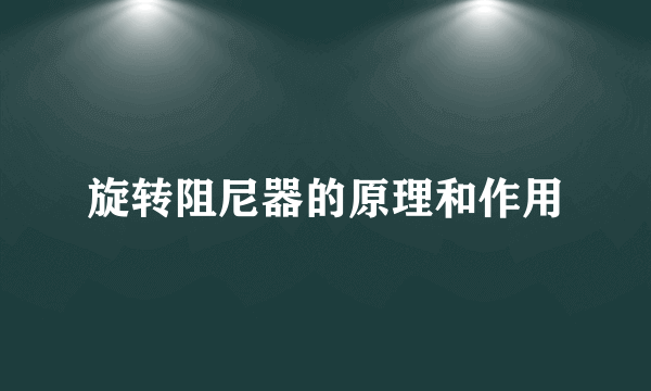 旋转阻尼器的原理和作用