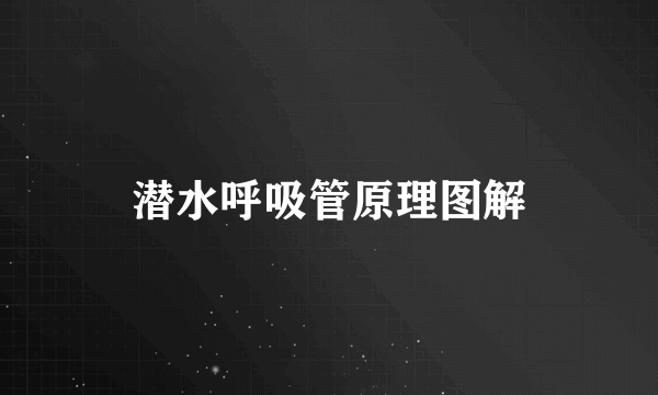 潜水呼吸管原理图解
