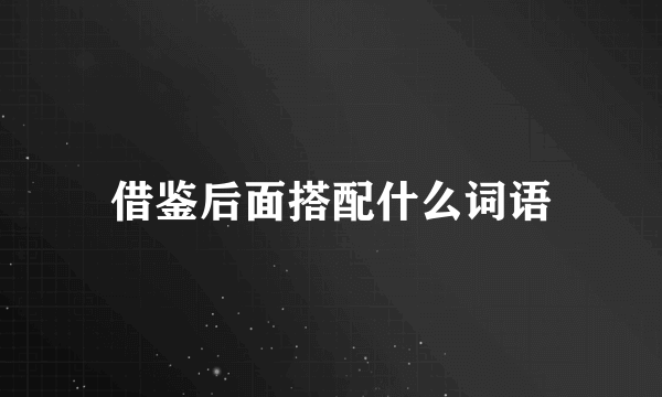 借鉴后面搭配什么词语
