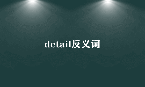 detail反义词