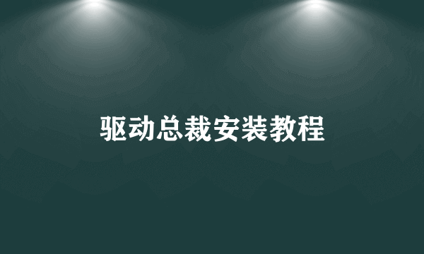 驱动总裁安装教程
