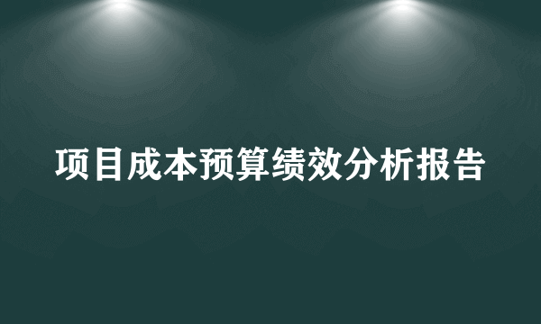 项目成本预算绩效分析报告