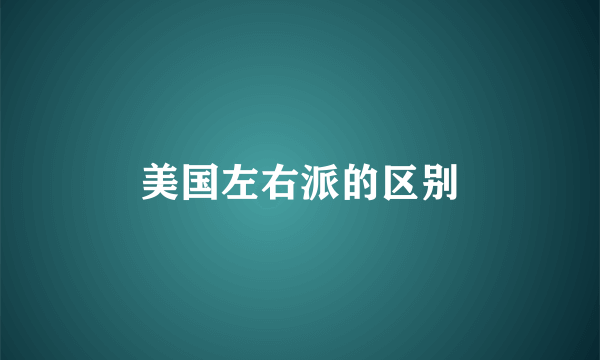 美国左右派的区别