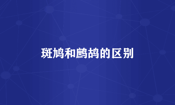 斑鸠和鹧鸪的区别