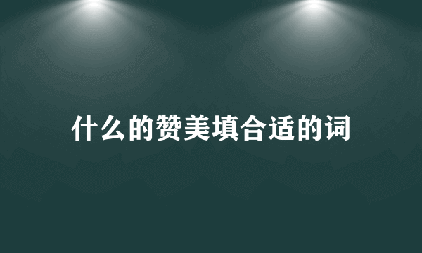 什么的赞美填合适的词