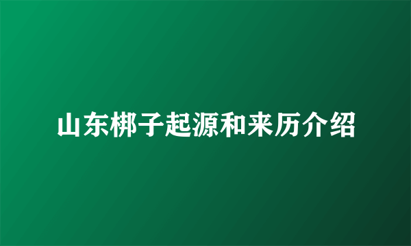 山东梆子起源和来历介绍