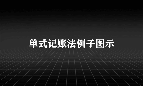 单式记账法例子图示