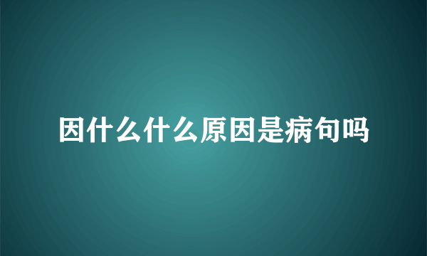 因什么什么原因是病句吗
