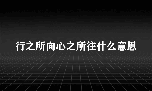 行之所向心之所往什么意思
