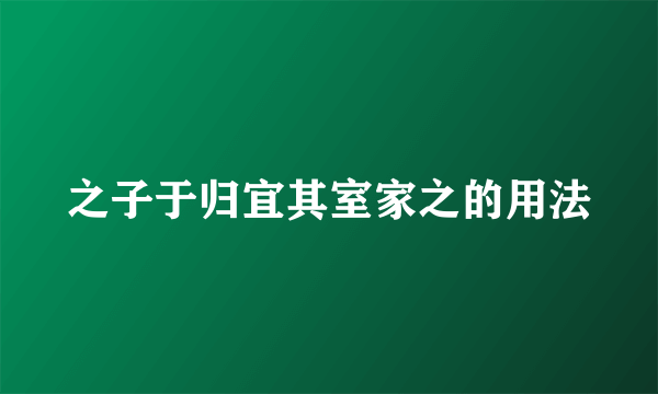 之子于归宜其室家之的用法