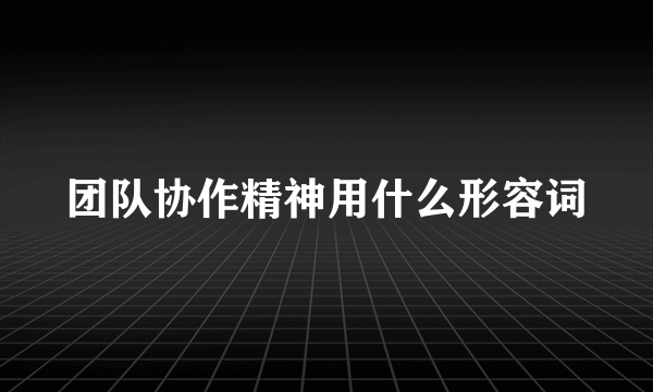 团队协作精神用什么形容词