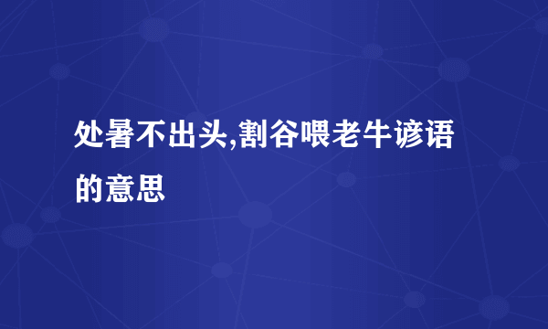 处暑不出头,割谷喂老牛谚语的意思