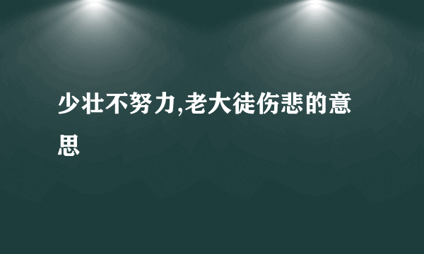 少壮不努力,老大徒伤悲的意思