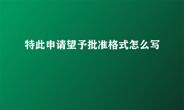 特此申请望予批准格式怎么写