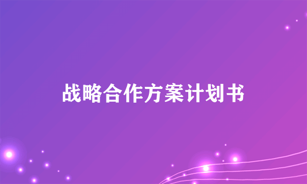 战略合作方案计划书