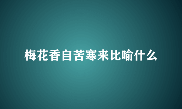 梅花香自苦寒来比喻什么