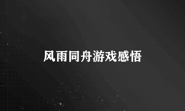 风雨同舟游戏感悟