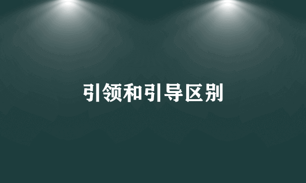 引领和引导区别