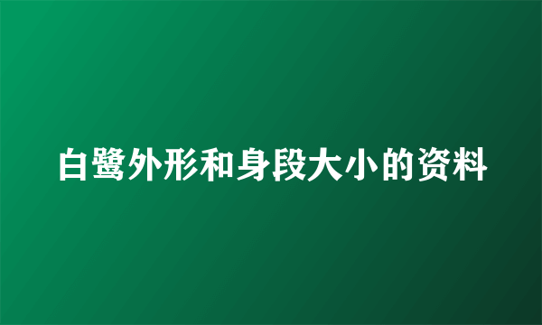 白鹭外形和身段大小的资料
