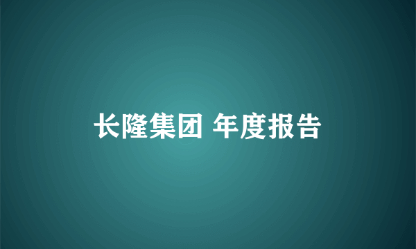 长隆集团 年度报告