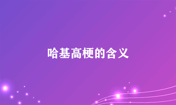 哈基高梗的含义