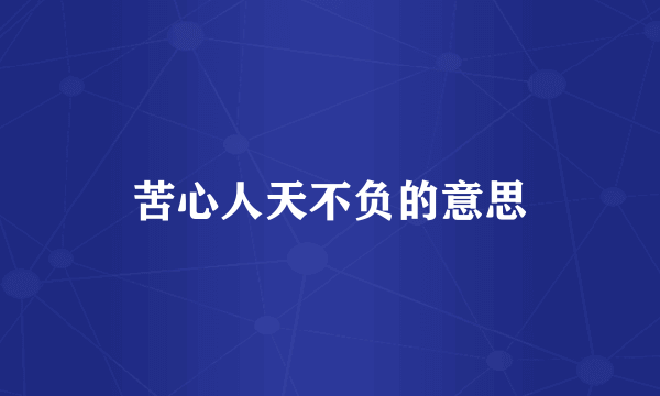 苦心人天不负的意思