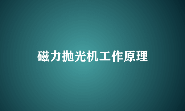 磁力抛光机工作原理