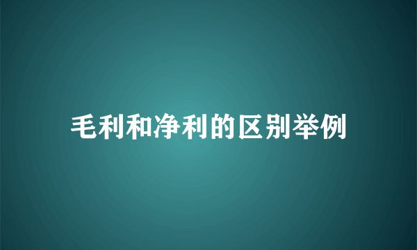 毛利和净利的区别举例