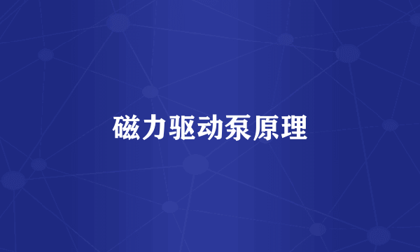 磁力驱动泵原理