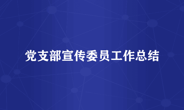 党支部宣传委员工作总结