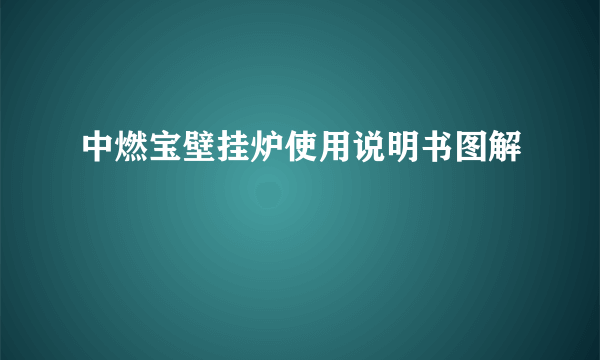 中燃宝壁挂炉使用说明书图解