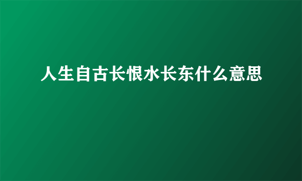 人生自古长恨水长东什么意思